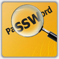 SpotAuditor Password Recovery Software