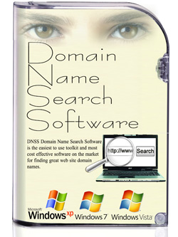 Logiciel de Recherche de Nom de Domaine de DNSS 