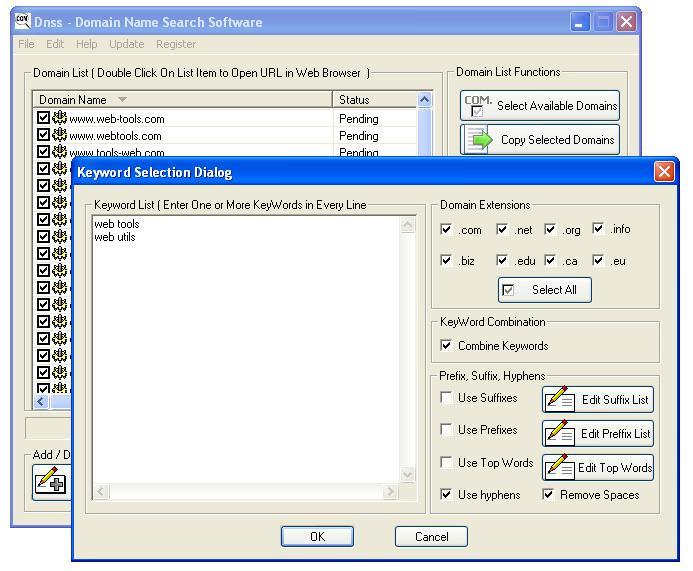 DNSS Domain Name Search Software screenshot