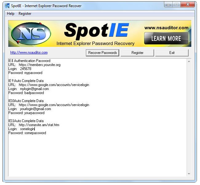 SpotIE Password Recovery 2.9.5 screenshot