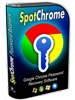 Google Chrome Password Recovery Software